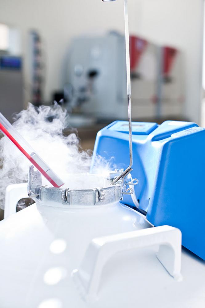 kinderwunsch Potsdam Kryo mit Dampf